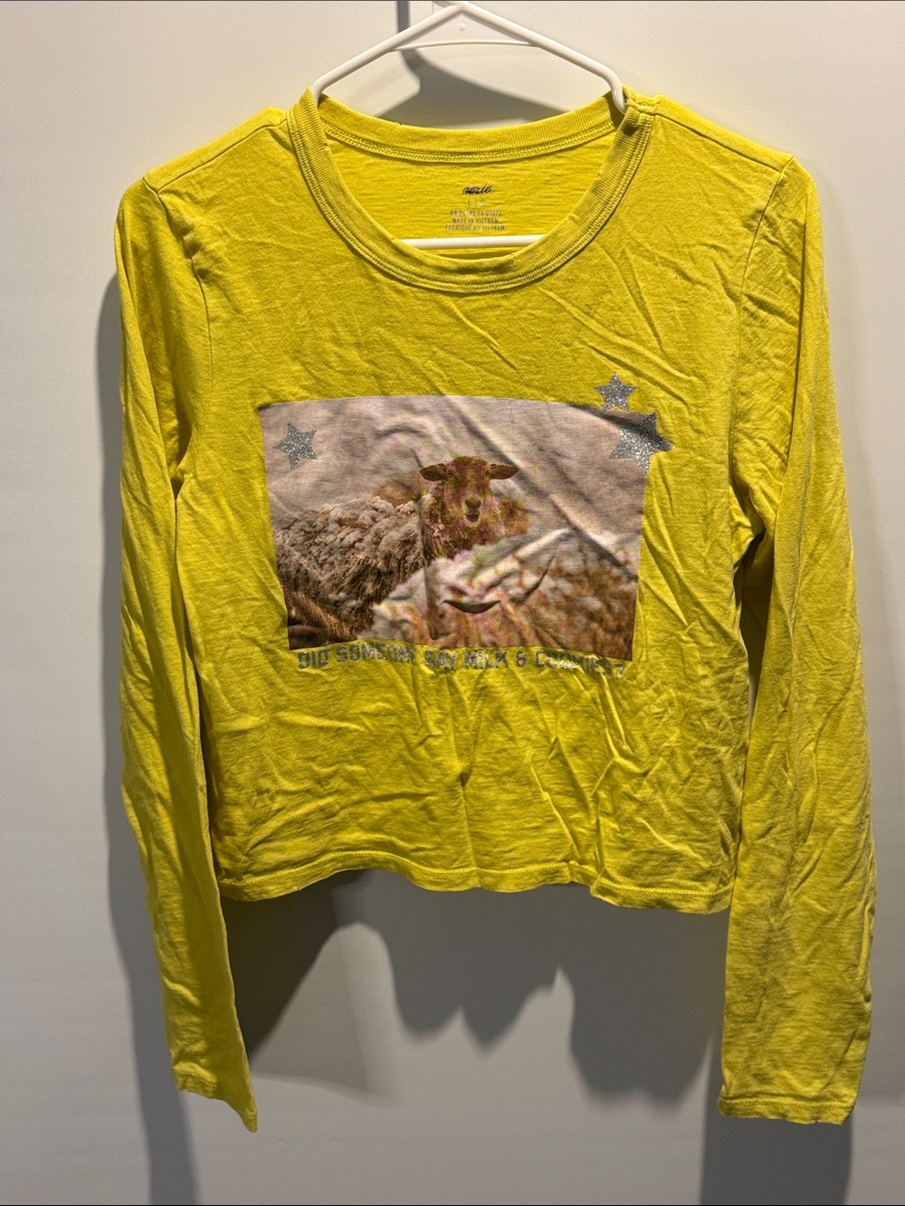 Aerie Girls' Bright Yellow Graphic Long-Sleeve Tee Size: L